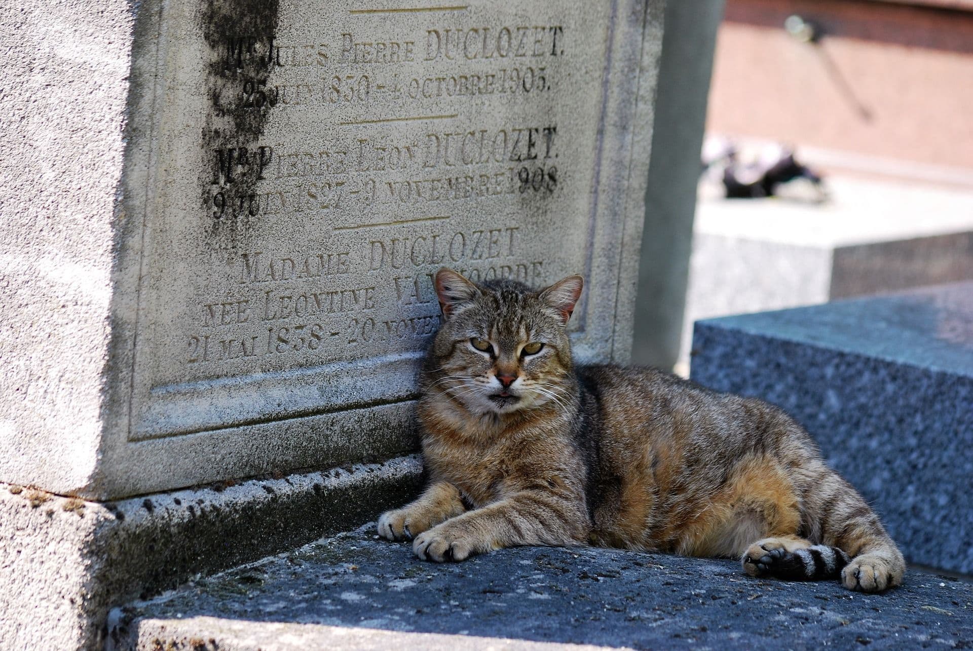 Père Lachaise